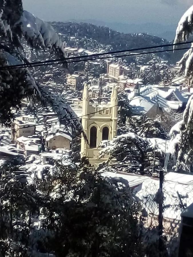 Simla View B&B  심라
