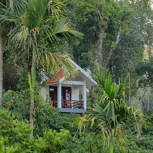 https://dhanagiri-home-stay-vythiri.kerala-hotels.net