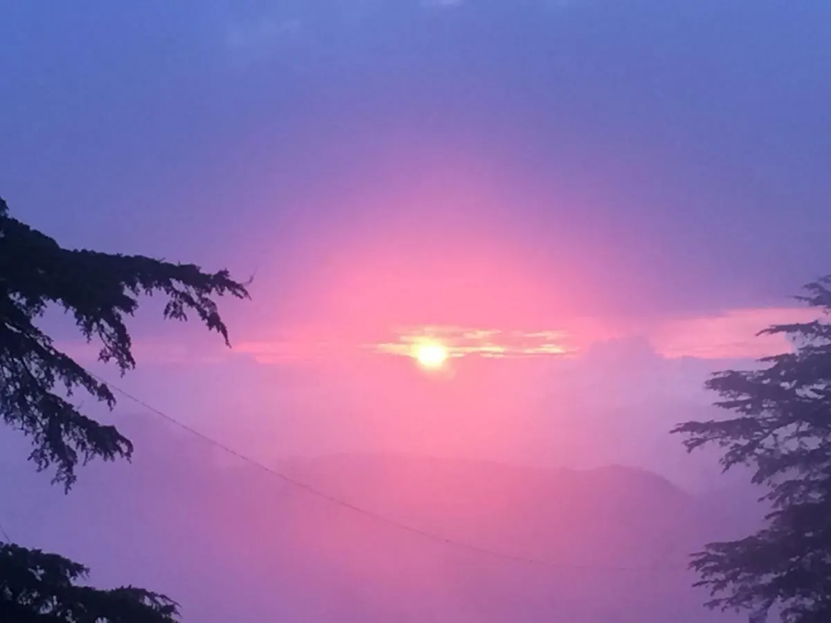 Simla View Bed and Breakfast 0*, Shimla Indie